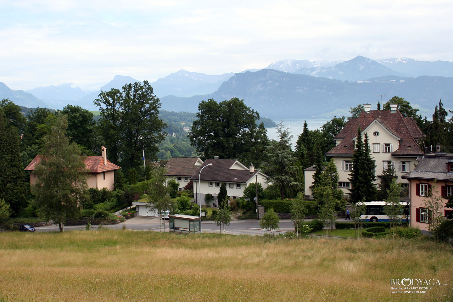 Lucerne